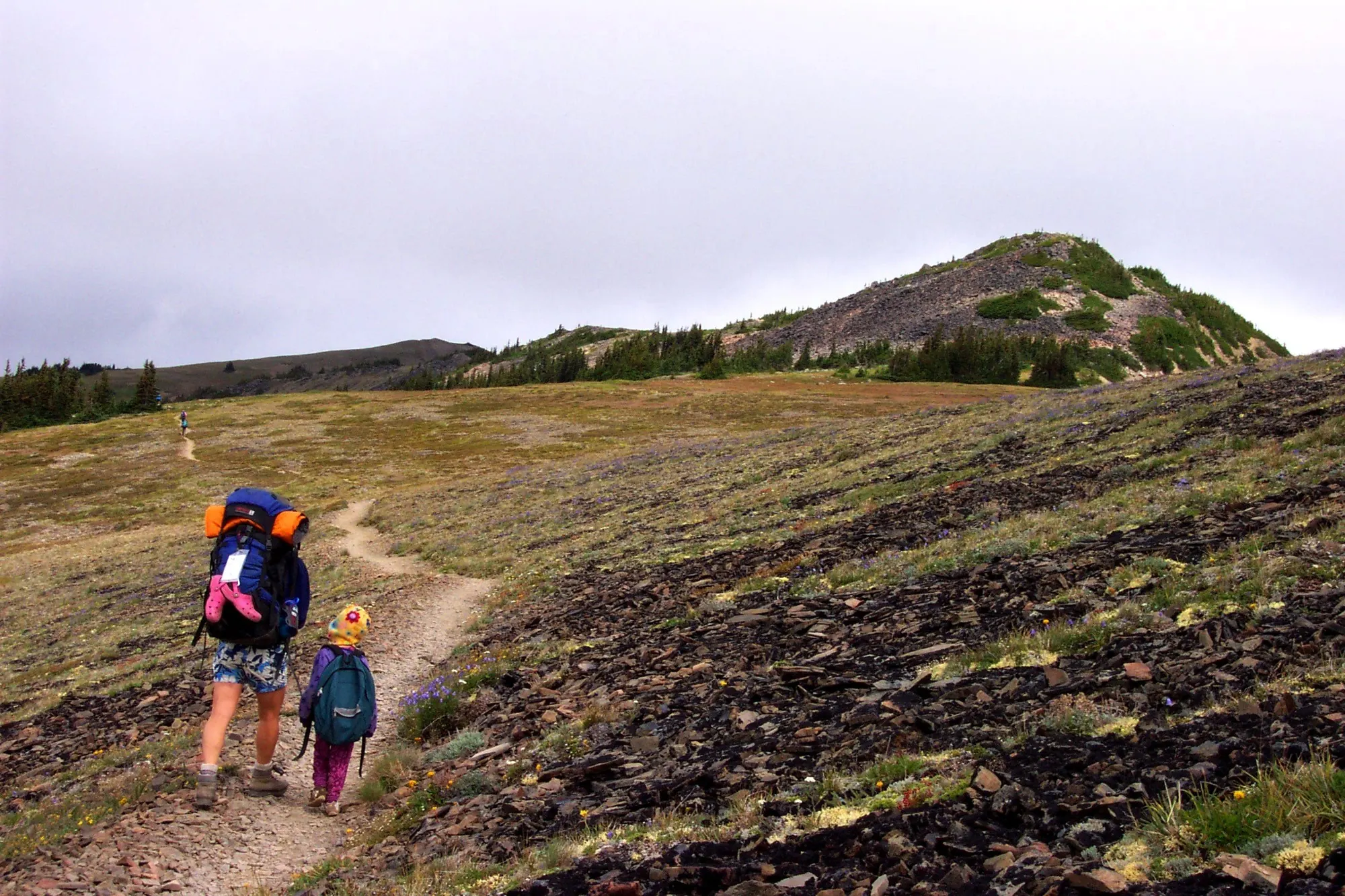A parent and child hiking a grassy trail with backpacks