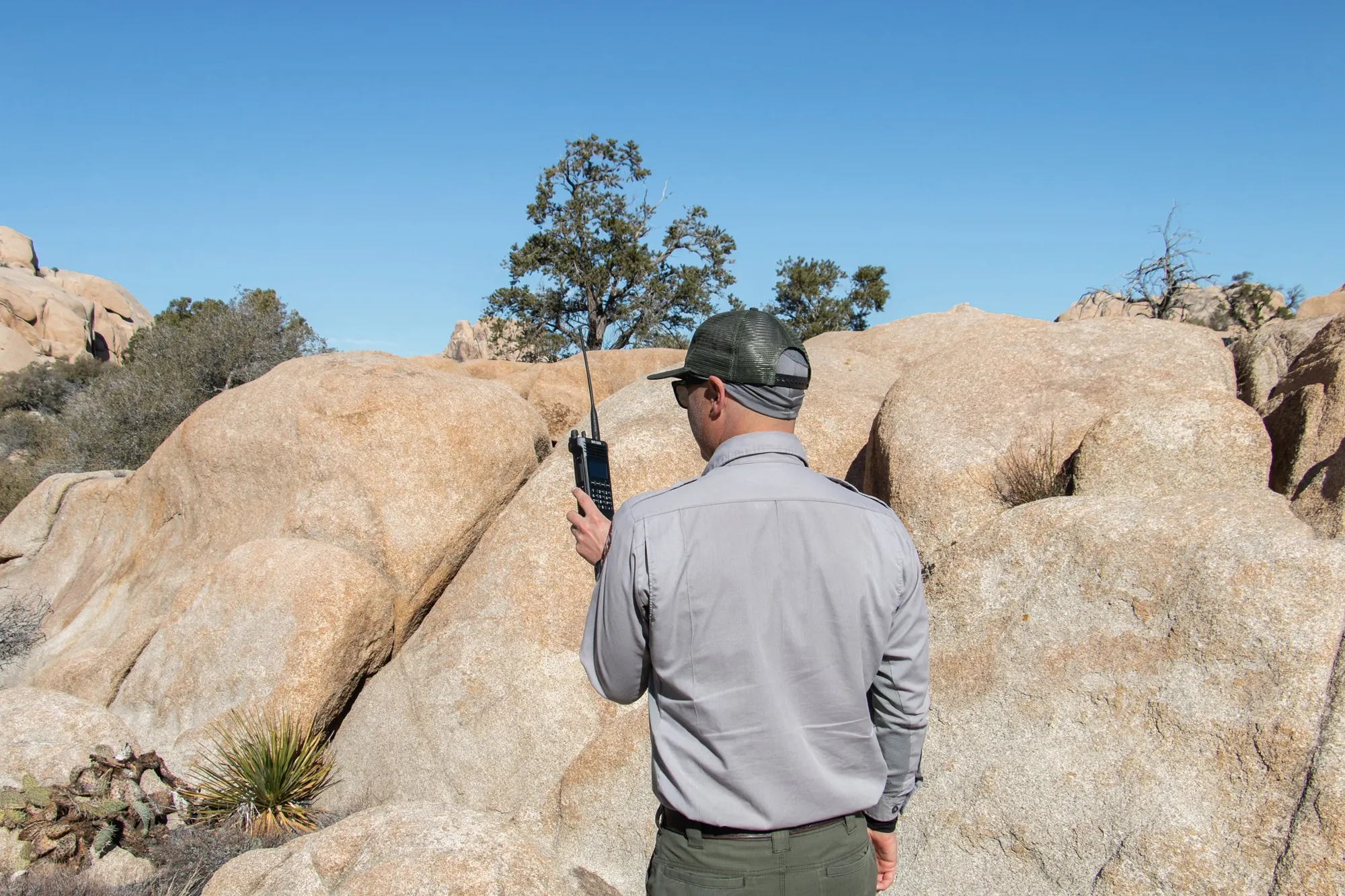 A park ranger seen from behind, holding a handheld radio among sunlit desert rocks